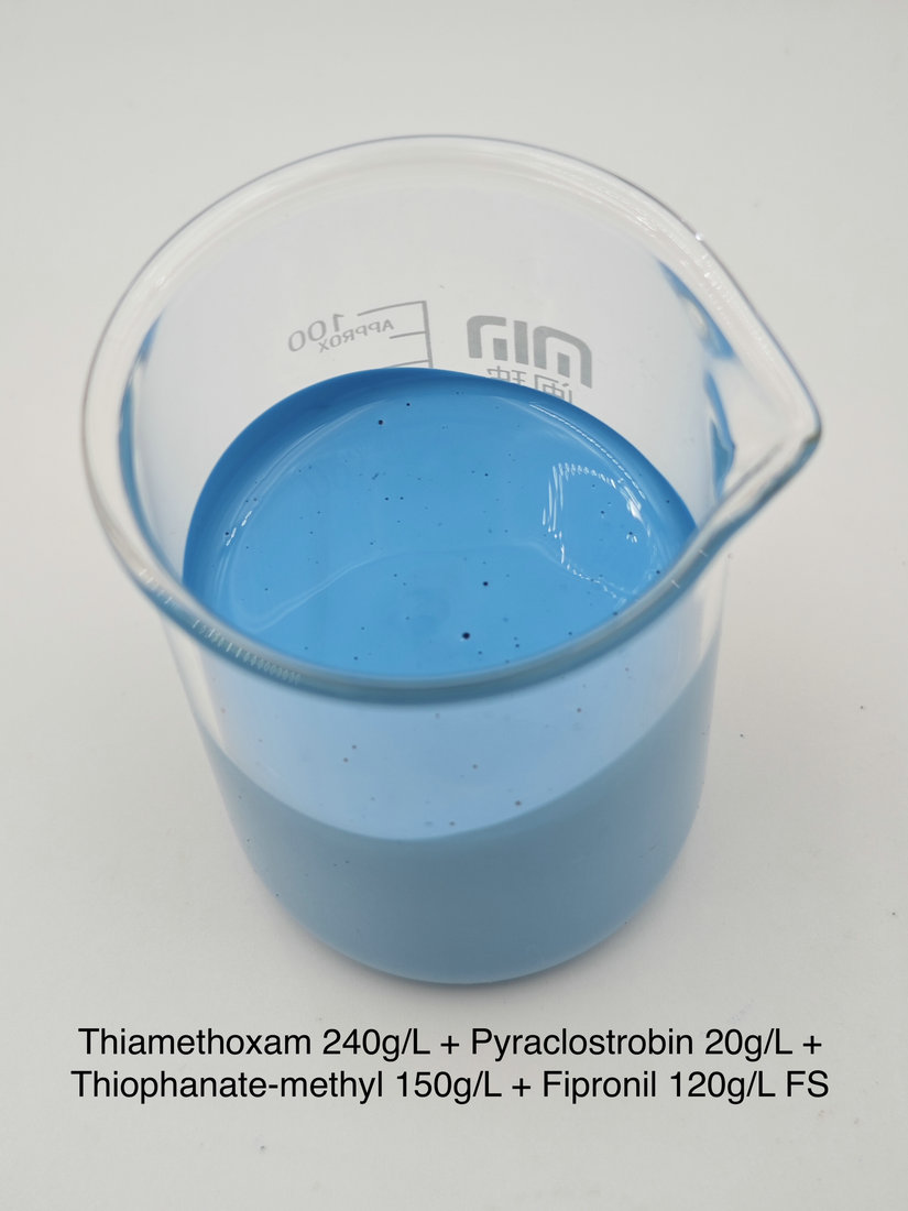 Thiamethoxam 240g/L + Pyraclostrobin 20g/L + Thiophanate-methyl 150g/L + Fipronil 120g/l FS